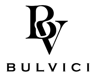 BV BULVICI logo