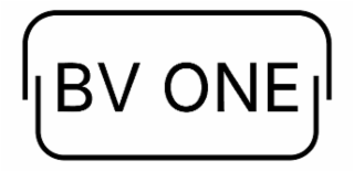 BV ONE logo