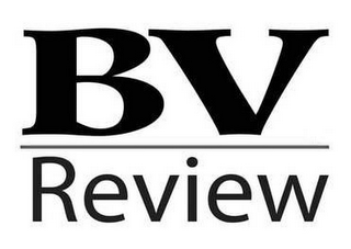 BV REVIEW logo