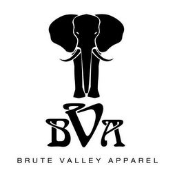 BVA BRUTE VALLEY APPAREL logo
