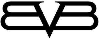 BVB logo