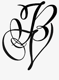 BVCJ logo