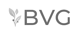 BVG logo