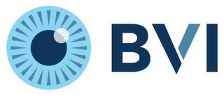BVI logo