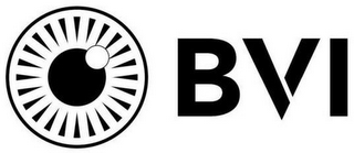 BVI logo