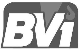 BVI logo