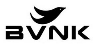 BVNK logo