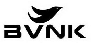 BVNK logo