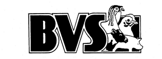 BVS logo