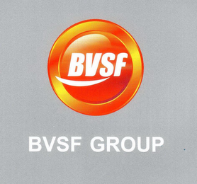 BVSF BVSF GROUP logo