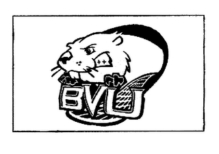 BVU