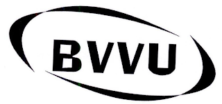 BVVU logo