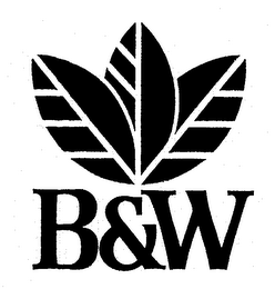 B&W logo