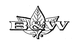 B&W logo