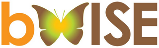 BWISE logo