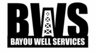 BWS BAYOU WELL SERVICES