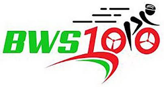 BWS100 logo