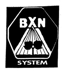 BXN SYSTEM logo