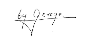 BY GEORGE logo
