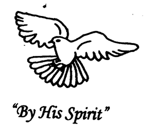 "BY HIS SPIRIT" logo