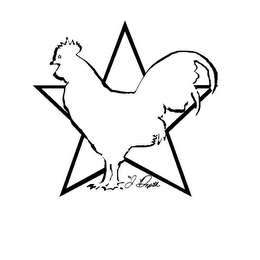 BY J DEPTH logo