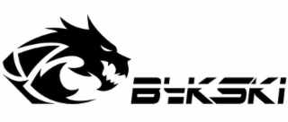 BYKSKI logo