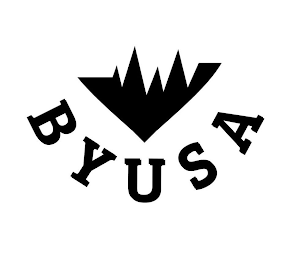 BYUSA logo