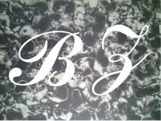 BZ logo