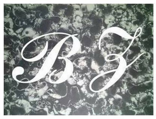 BZ logo