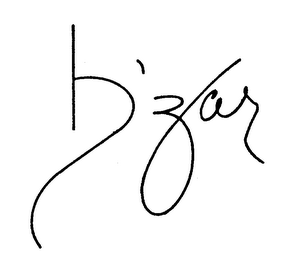 B'ZAR logo
