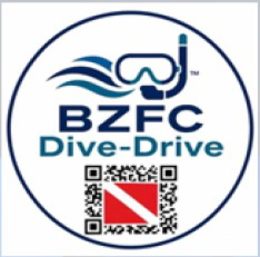 BZFC DIVE - DRIVE logo