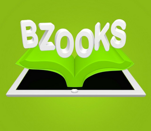 BZOOKS logo