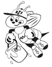 BZS logo