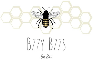 BZZY BZZS BY BRI logo