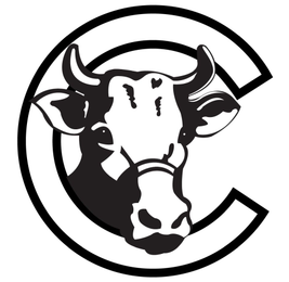 C logo