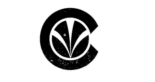 C logo