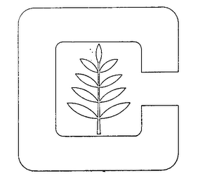 C logo