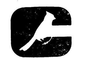 C logo
