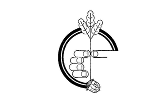 C logo