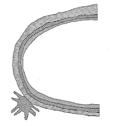 C logo