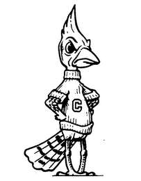 C logo