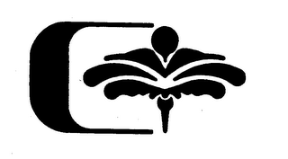 C logo