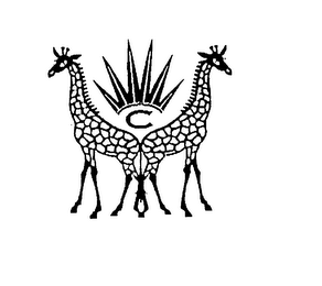 C logo
