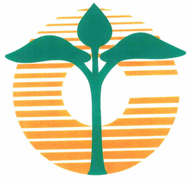 C logo
