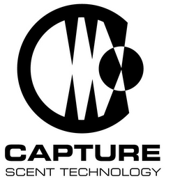 C logo