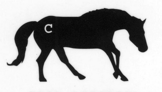 C logo