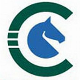 C logo