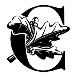 C logo