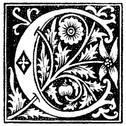 C logo