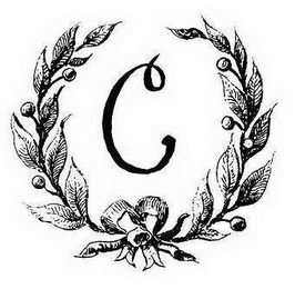 C logo